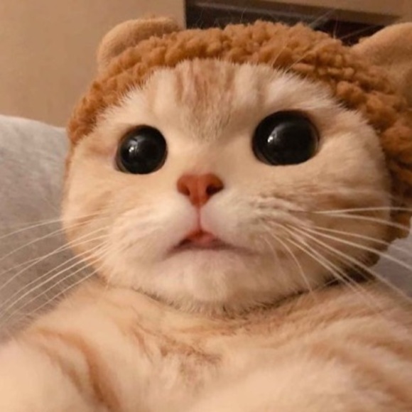 spicymushroom36